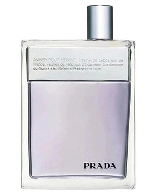 Amber Pour Homme-Prada samples & decants -Scent Split