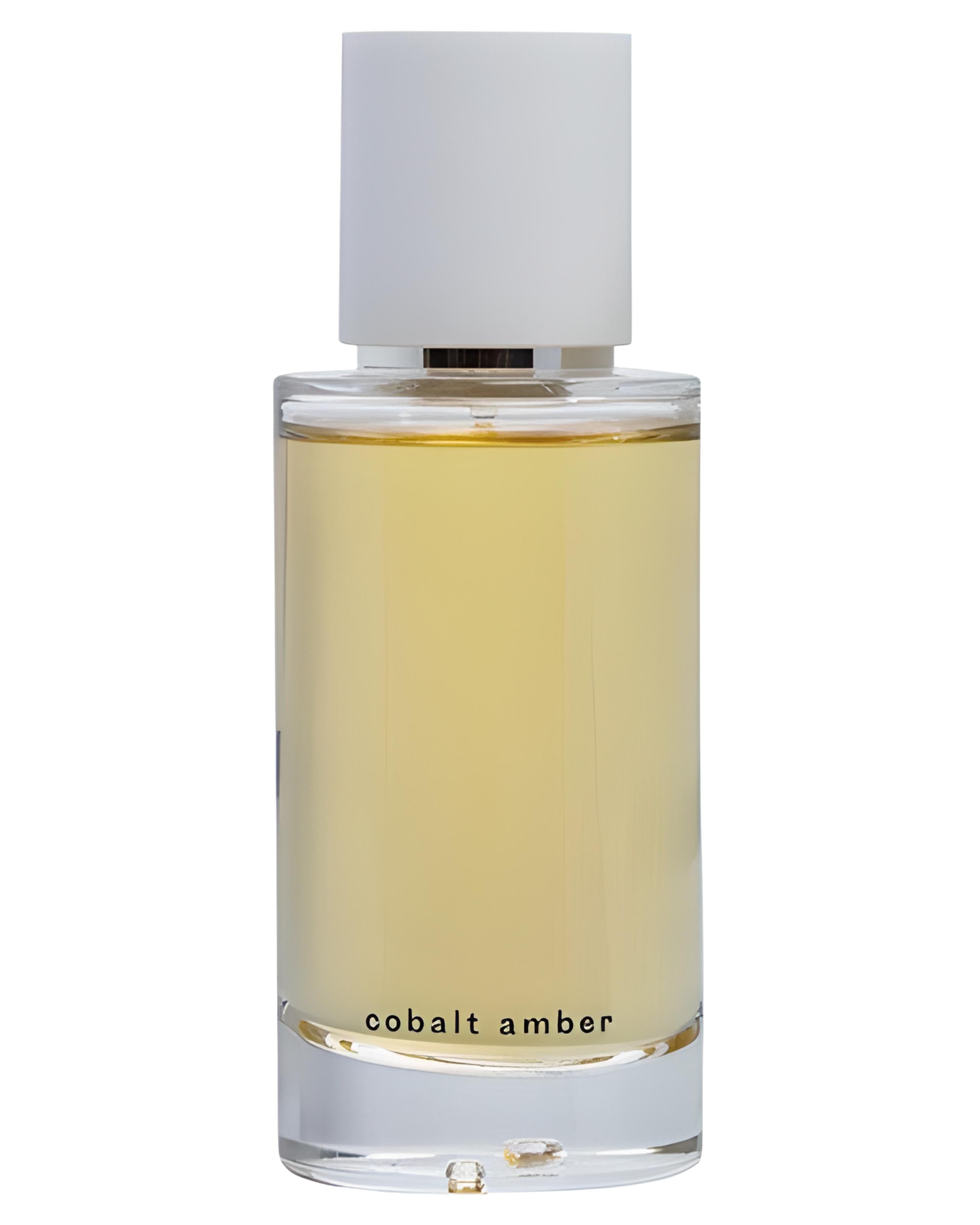 Cobalt Amber-Abel samples & decants -Scent Split