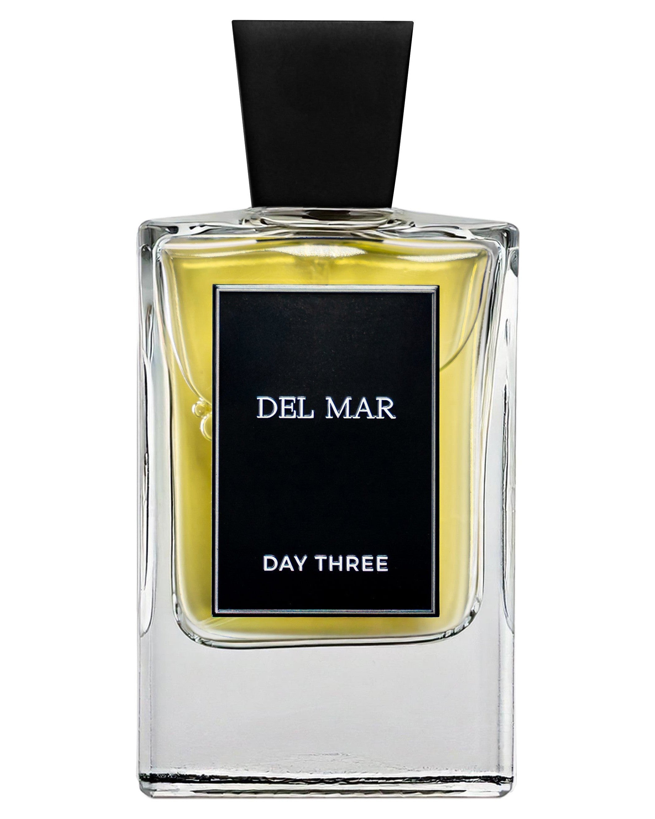 Del Mar-Day Three samples & decants -Scent Split