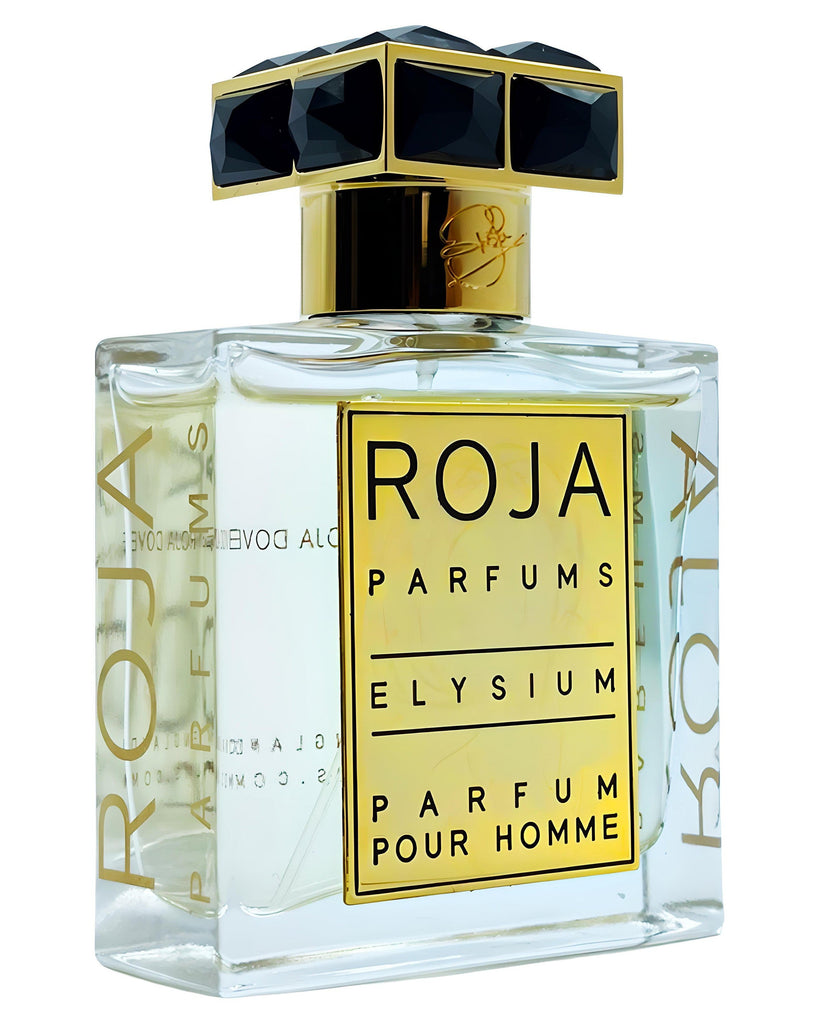 Elysium Pour Homme Parfum-Roja Parfums samples & decants -Scent Split