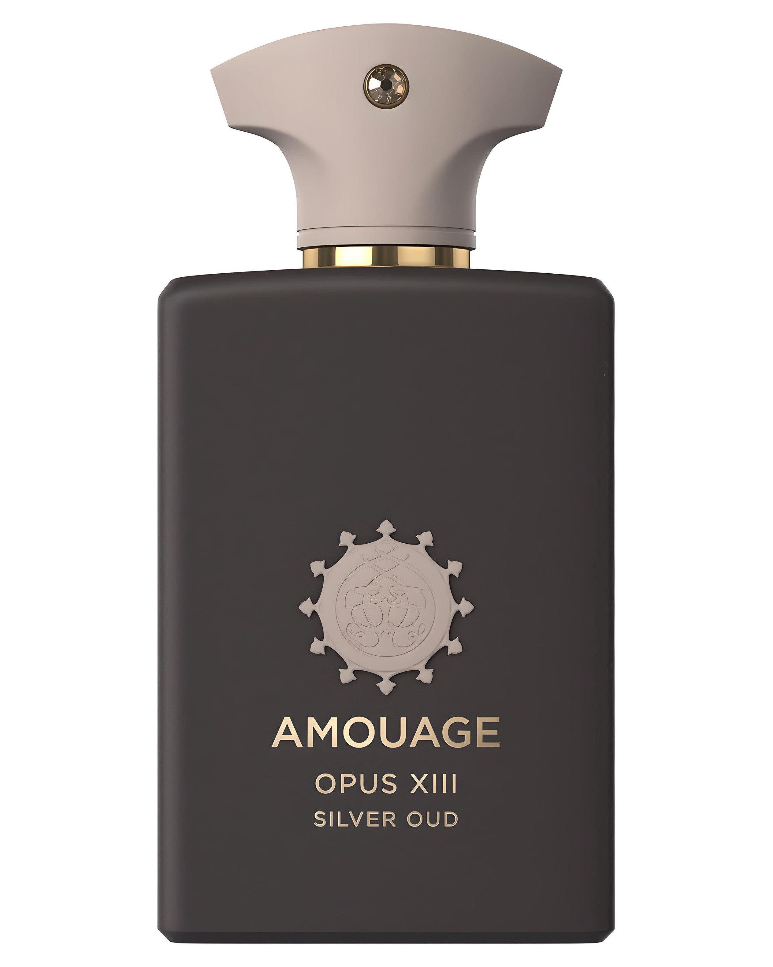 Opus XIII Silver Oud-Amouage samples & decants -Scent Split