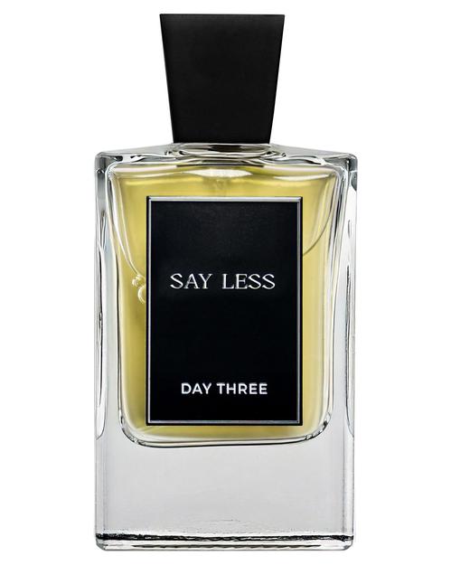 Say Less-Day Three samples & decants -Scent Split