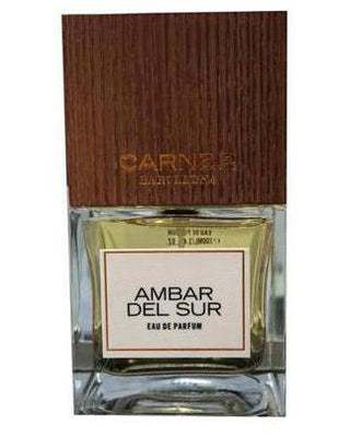 Ambar Del Sur-Carner Barcelona samples & decants -Scent Split