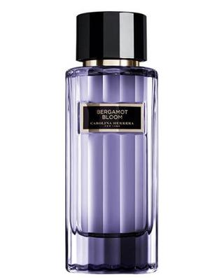 Bergamot Bloom-Carolina Herrera samples & decants -Scent Split