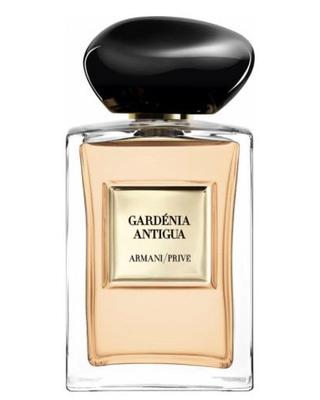 Gardénia Antigua-Armani samples & decants -Scent Split