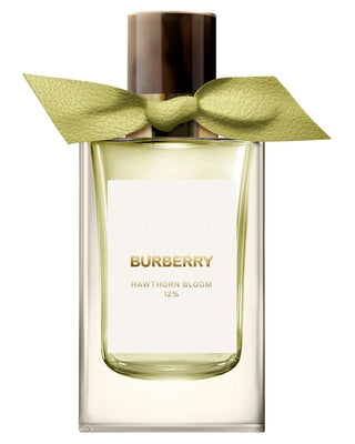 Hawthorn Bloom-Burberry samples & decants -Scent Split