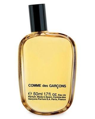 Original-Comme Des Garcons samples & decants -Scent Split