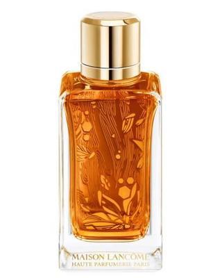 Oud Ambroisie-Lancome samples & decants -Scent Split