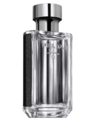 Prada L'Homme-Prada samples & decants -Scent Split