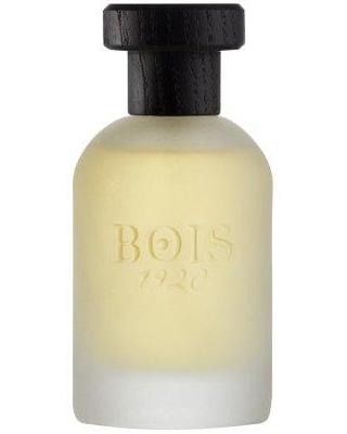 Real Patchouly-Bois 1920 samples & decants -Scent Split