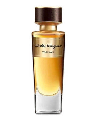 Vendemmia-Salvatore Ferragamo samples & decants -Scent Split