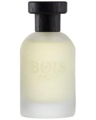 Vetiver Ambrato-Bois 1920 samples & decants -Scent Split